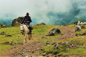 A cowboy riding a horse in the mountains